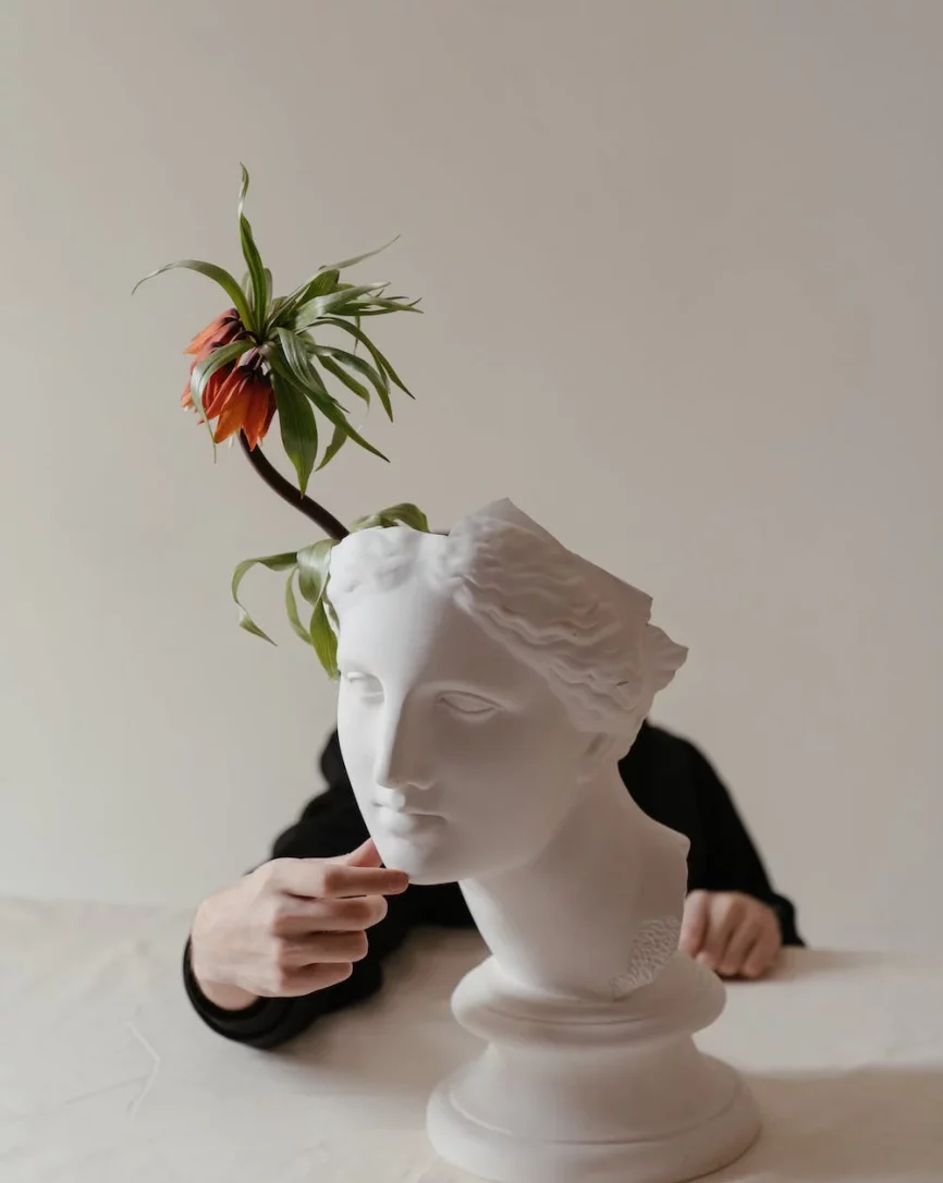 pexels-photo-4272618